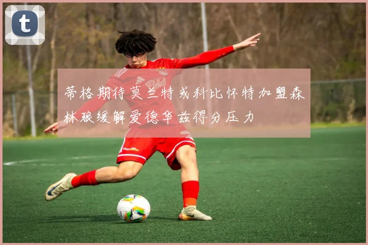 蒂格期待莫兰特或科比怀特加盟森林狼缓解爱德华兹得分压力